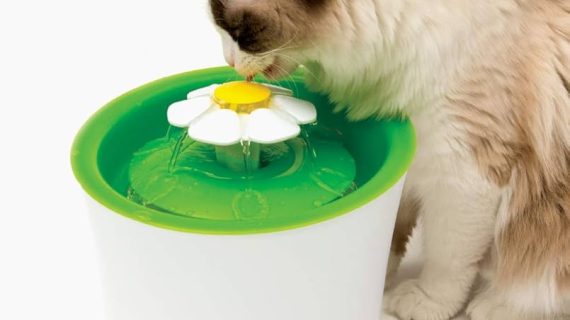 Catit Water Fountain (2L)
